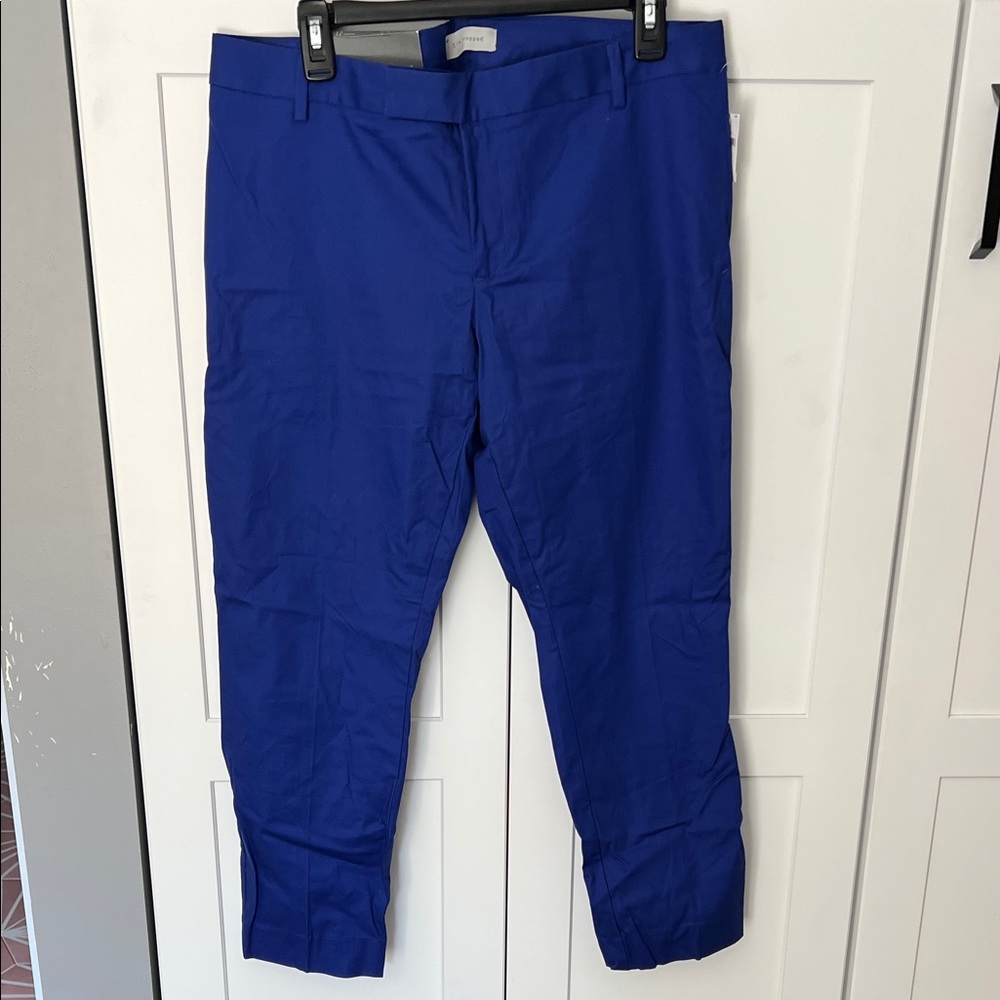 GAP Women’s Vibrant Blue Crop Chinos